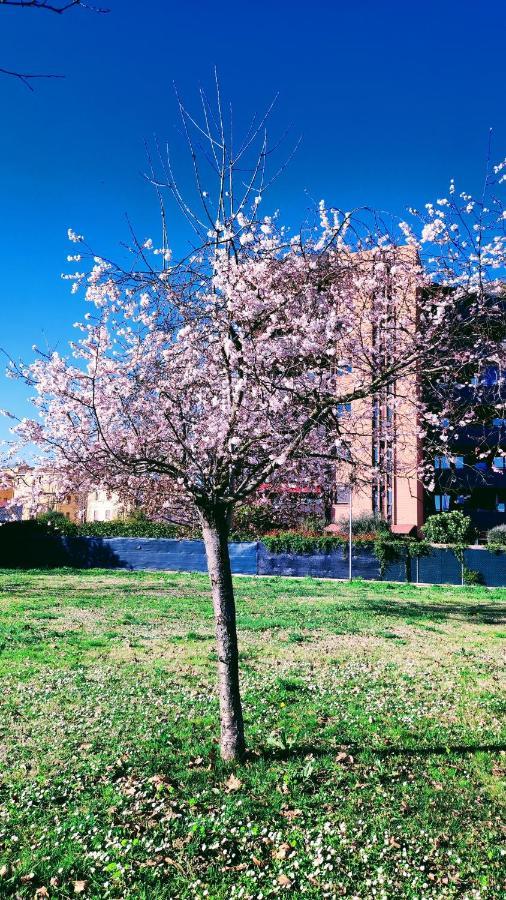 Bologna sul parco APARTMENT 2 letti matrimoniali Esterno foto